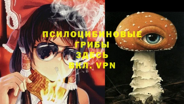 спиды Абинск