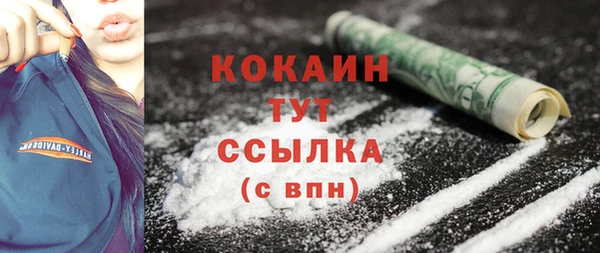 винт Абаза