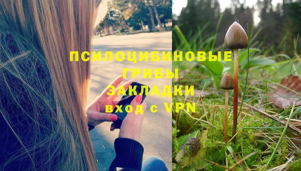 винт Абаза